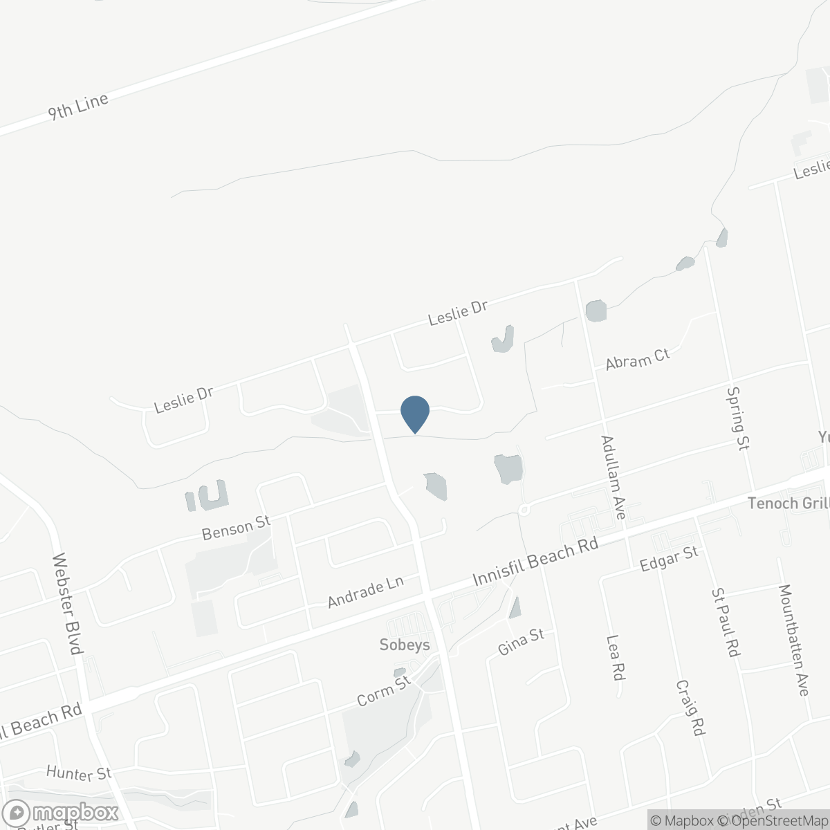 1117 CORRIE STREET, Alcona, Ontario L9S 1W9